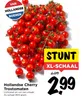 Hollandse Cherry Trostomaten