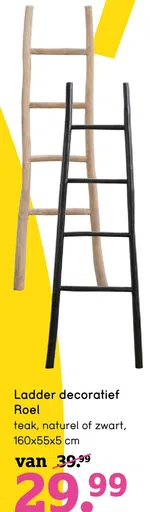 Ladder decoratief Roel teak, naturel of zwart,
