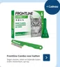 Frontline Combo voor katten