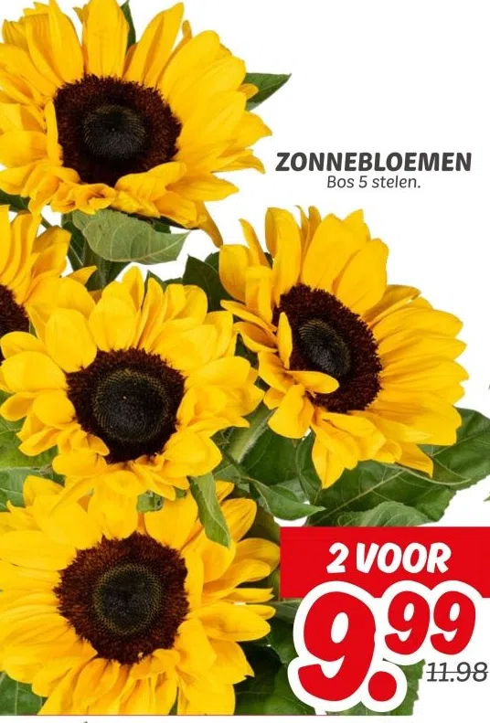 Supermarkt aanbieding in Westertuinen: ZONNEBLOEMEN, 