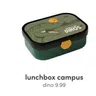 lunchbox campus dino