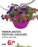 Perkplanten Festival Colours
