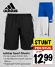 Adidas Sport Shorts
