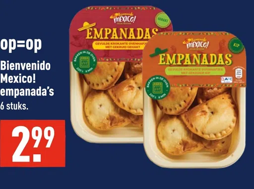 Bienvenido Mexico! empanada's