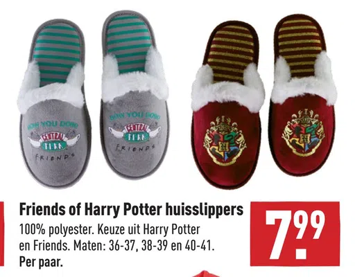 Friends of Harry Potter huisslippers