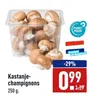 Kastanje- champignons