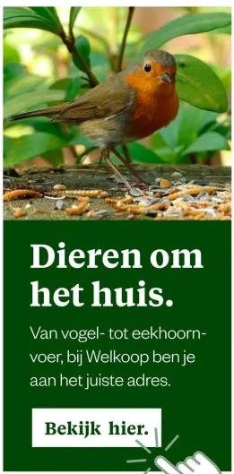 Tuin & Dier aanbieding in Brouwersmolen-Zuid: Dieren om het huis., 