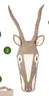 dierenkop Kaio Antelope