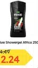 Axe Showergel Africa 250