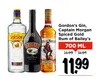 Gordon's Gin, Captain Morgan Spiced Gold Rum of Bailey's