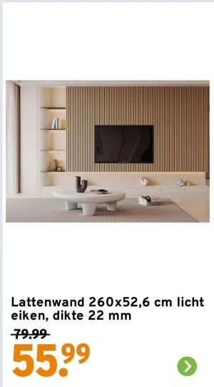 Bouwmarkt aanbieding in Stadsdeel Gestel: Lattenwand 260x52,6 cm licht eiken, dikte 22 mm, 