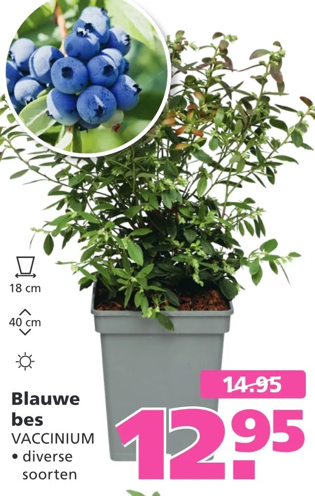 Bemeste tuinaarde aanbieding