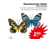 Muurdecoratie vlinder 29.5 x 22.5 cm