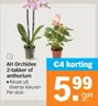 AH Orchidee 2-takker of anthurium